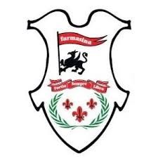 FARMASINA TIBBI VE KIMYEVI URUNLER SAN. TIC. LTD. STI. logo