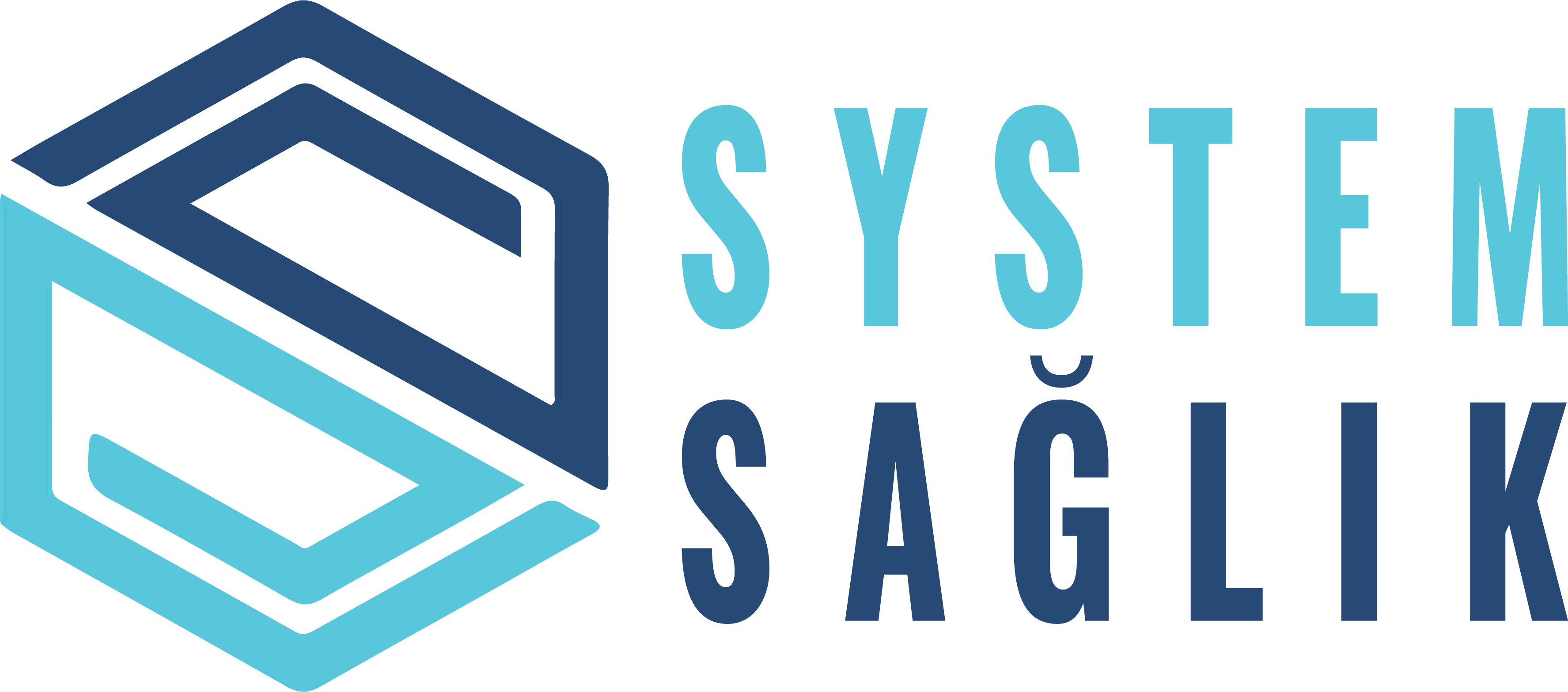 System Saglik
